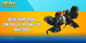 đá gà thomo 99ok sân chơi uy tín đẳng cấp nhất