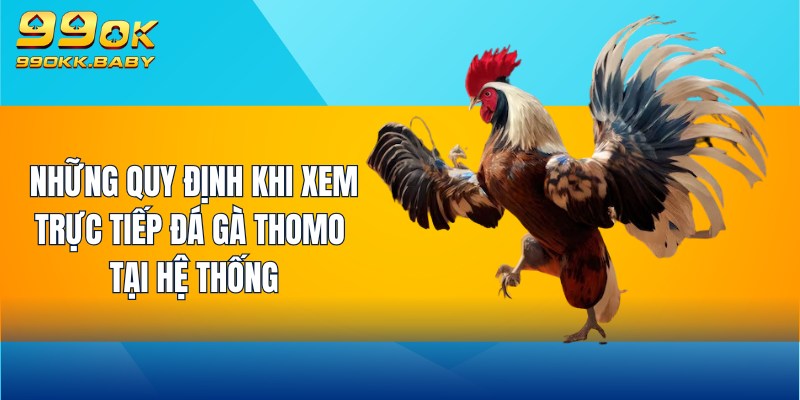 Những quy định khi xem trực tiếp đá gà Thomo tại hệ thống