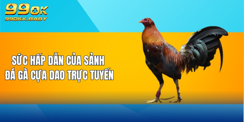 Sức hấp dẫn của sảnh đá gà cựa dao trực tuyến