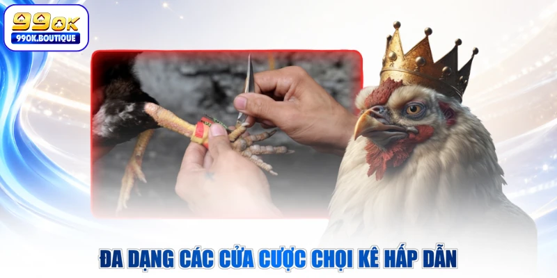 Đa dạng các cửa cược chọi kê hấp dẫn