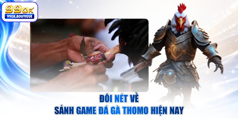 Đôi nét về sảnh game đá gà Thomo hiện nay